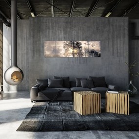 Obraz drzewa we mgle (170x50 cm)