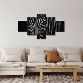 Obraz zebry (125x70 cm)