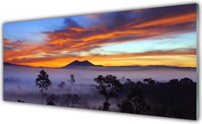 Szkło do Kuchni na Ścianę Las We Mglisty Poranek