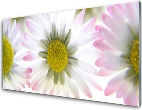 Panel nad blat kuchenny Biała Stokrotka Na Polanie