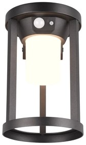 Lampa zewnętrzna LED z czujnikiem ruchu (wysokość 21 cm) Carmo – Trio