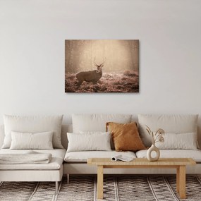 Obraz - Jeleń w lesie (70x50 cm)