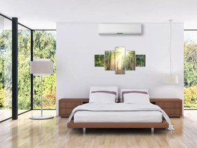 Obraz ścieżki w lesie (125x70 cm)
