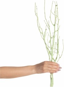Gałązka Leszczyny 50cm light green