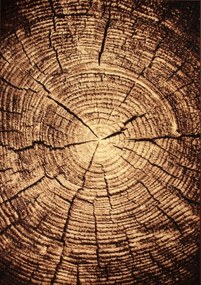 Dywan Country Drzewo 050x070 Prostokąt