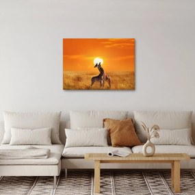 Obraz - Żyrafy w Parku Narodowym Serengeti (70x50 cm)