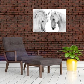 Obraz na szkle białych koni (70x50 cm)