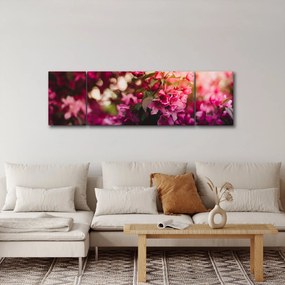 Obraz kwiatów malwy (170x50 cm)