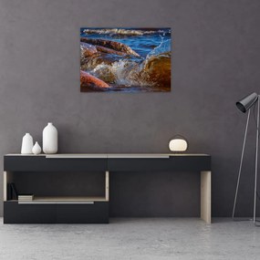 Obraz na szkle - szczegółowy obraz - woda między kamieniami (70x50 cm)