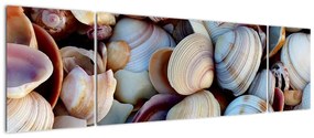 Obraz muszelek (170x50 cm)