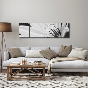 Obraz - Czarno-biały kwiat (170x50 cm)
