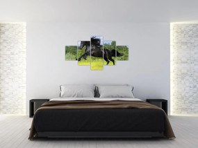 Obraz - Koń z płynącą grzywą (125x70 cm)