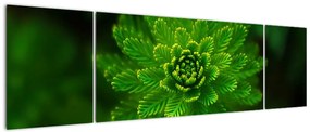 Obraz drzewa iglastego (170x50 cm)