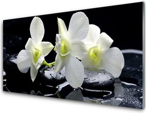 Panel nad blat kuchenny Szlachetny Różowy Storczyk