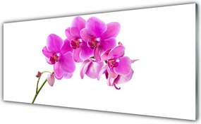 Panel nad blat kuchenny Wykwintna Forma Storczyka