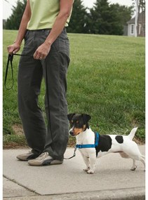 PetSafe Szelki EasyWalk Deluxe niebieskie rozmiarS