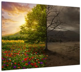 Obraz na szkle - Cykl życia (70x50 cm)