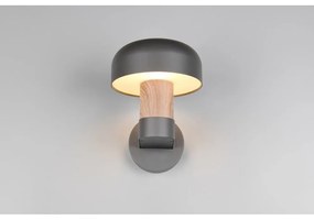 Zewnętrzna lampa ścienna (wysokość 24,5 cm) Fraser – Trio