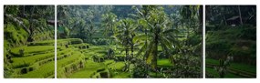 Obraz tarasów ryżowych Tegalalang, Bali (170x50 cm)