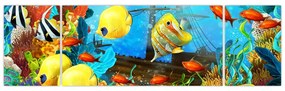Obraz - Kolorowa rafa koralowa (170x50 cm)