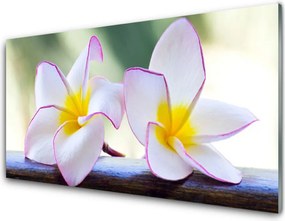 Panel Szklany Egzotyczny Kwiat Plumerii