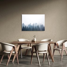 Obraz na szkle - Mglisty las (70x50 cm)