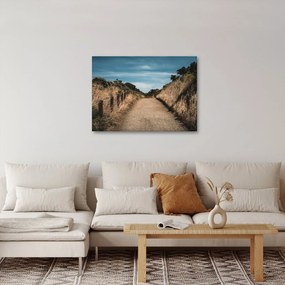 Obraz - Na szlaku (70x50 cm)