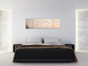 Obraz - Stado ptaków (170x50 cm)