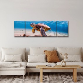 Obraz żółwia w oceanie (170x50 cm)