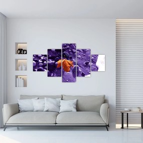 Obraz - Plaża morska (125x70 cm)
