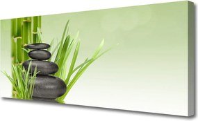 Obraz canvas Świeżość Zielonego Bambusa