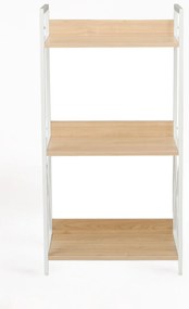 Rega Lesly z 3 pókami