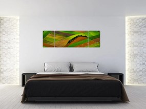 Obraz - Pola, łąki (170x50 cm)