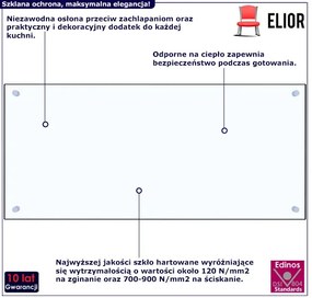 Przezroczysty panel ścienny z hartowanego szkła N5-S93