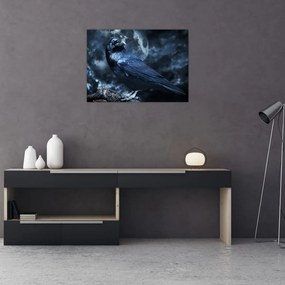 Obraz - Gawron (70x50 cm)