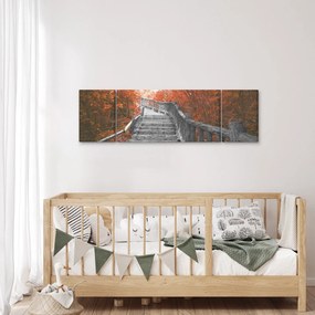 Obraz - Schody w naturze, pomarańczowy (170x50 cm)