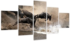 Obraz - Stado antylop gnu (125x70 cm)