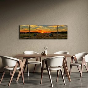Obraz - Wiejskie bale (170x50 cm)
