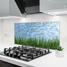 Panel Szklany Świeżość Trawy Nad Brzegiem