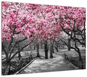 Obraz na szkle drzew magnolii (70x50 cm)