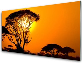 Panel Kuchenny Słońce Przebijające Przez Liście