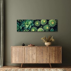 Obraz - Kaktusy (170x50 cm)