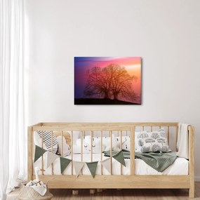 Obraz drzew we mgle (70x50 cm)