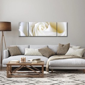 Obraz białej róży (170x50 cm)