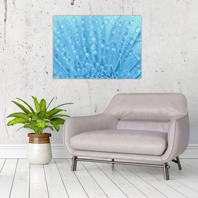 Obraz - Ujęcie makro kwiatu (70x50 cm)