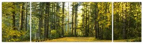 Obraz - las jesienią (170x50 cm)