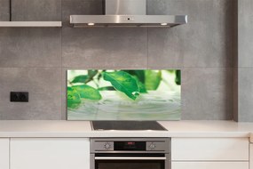 Szklany Panel Krople Deszczu na Liściach