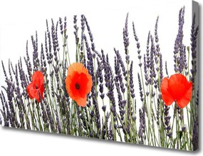 Obraz drukowany na płótnie Maki Tańczące na Wietrze