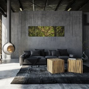 Obraz drzewa (170x50 cm)
