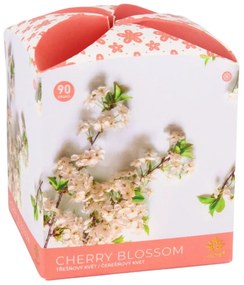 Arome Świeczka zapachowa w szkle Chery Blossom, 90 g